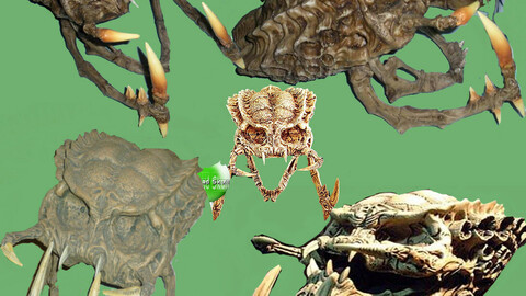 Monster skull - hole