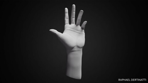 Male Hand 1