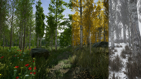 UE4 - Scanned Poplar and Aspen Forest with Seasons