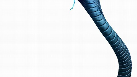 Magic Palace - Religion - Stone Snake 01