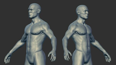 Male Anatomy Base Mesh