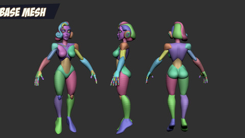 Base mesh