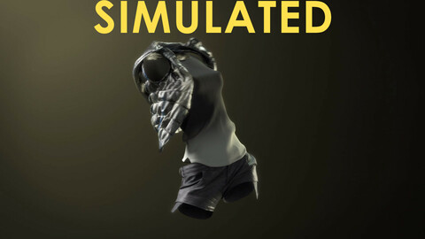 Cloth Outfit - B - SIMULATED