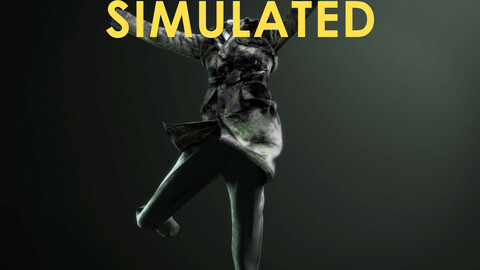 Cloth Outfit - C - SIMULATED