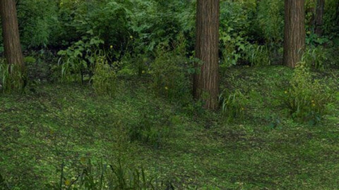 Woodland Realm Playset One