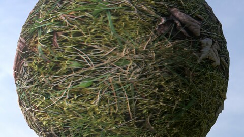 Grass 5 PBR Material