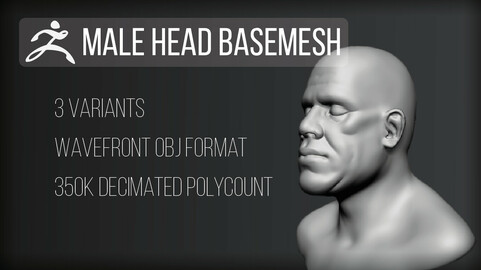 Male Head Bust Basemesh