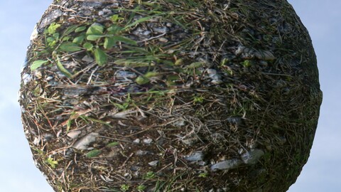 Gravel Grass 7 PBR Material