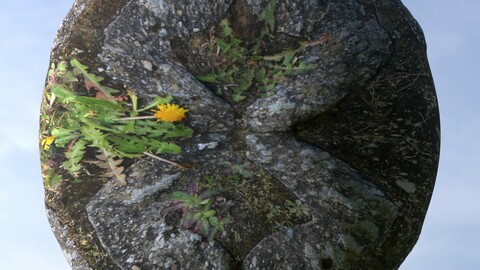 Mossy Stones Ground PBR Material