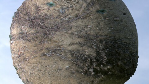 Sand Grass 1 PBR Material