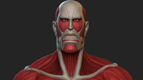 Bertholdt - Colossal Titan V1 - Shingeki no Kyojin - 3D Print