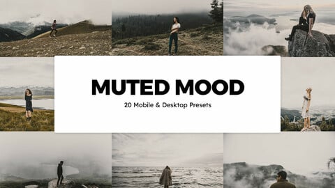 20 Muted Mood LUTs and Lightroom Presets