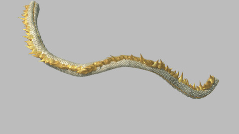 Shinomiya village dragon middle