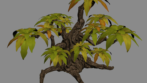 Grass Temple Village - shrubs 01