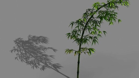 Dazhu Feng - black knot 06