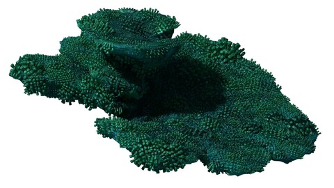 Seabed - Coral 74