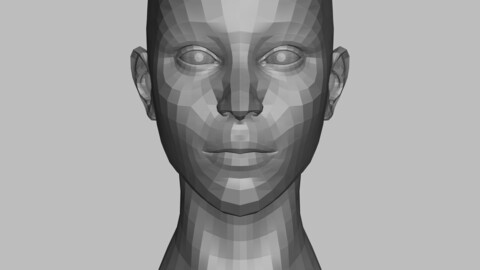 Female Head Base Mesh