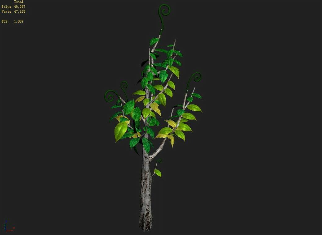 Her tree
