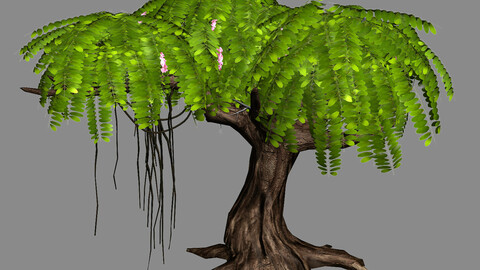 River Yangcheng - Huai Tree 01
