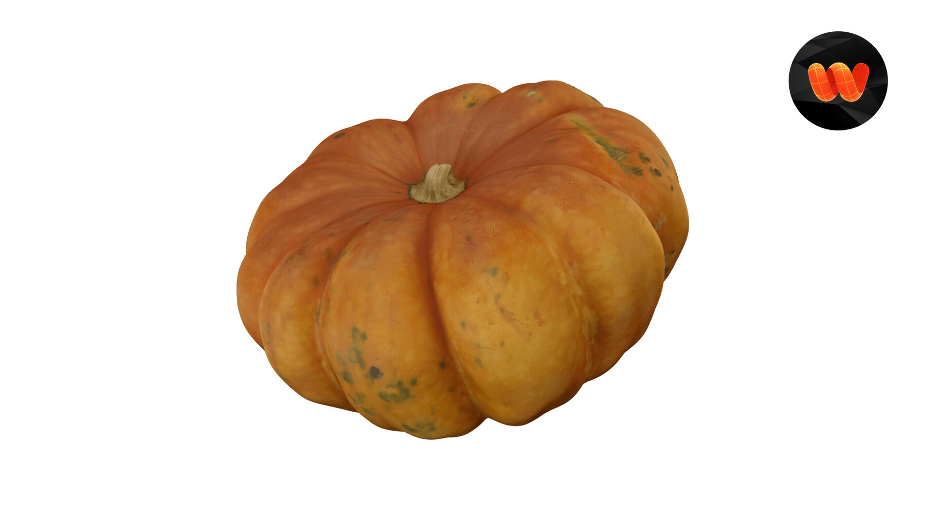 ArtStation Squash Cucurbita maxima Extreme Definition 3D Scanned