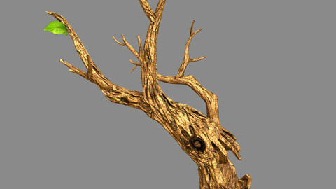 Fox Qishan - ruins film - dry tree 01
