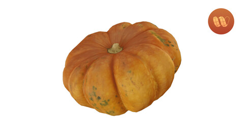 Squash Cucurbita maxima - Real-Time 3D Scanned Model