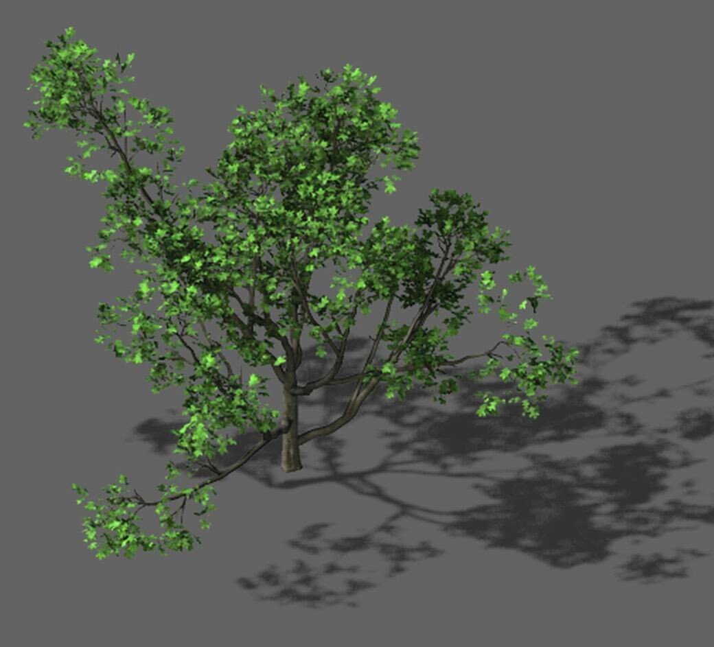 Tree 7. Луг 3д модель. Lotus Tree 3d render.