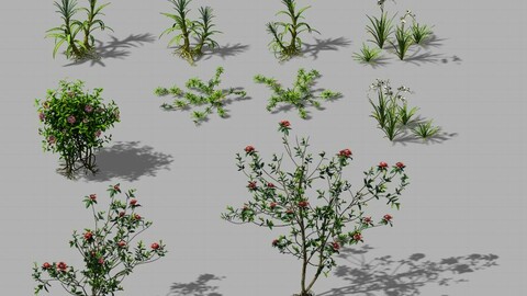 Huangguoshu Falls - small plants 01