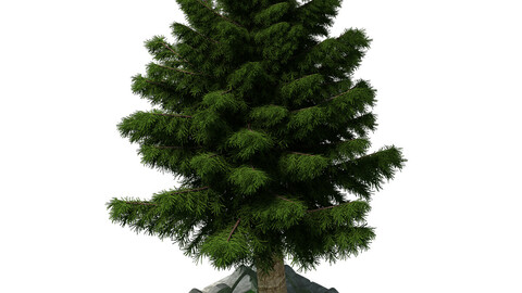 Church Hospital - Decorative tree 02