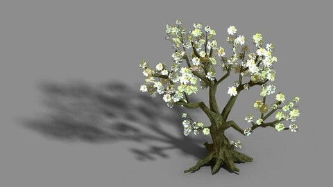 Capital City - White Tree 01
