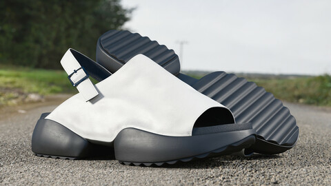 Realistic 3D model of Womens Shoes 2