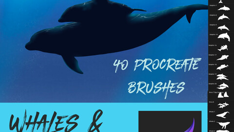 40 Dolphin & Whale Brushes for Procreate