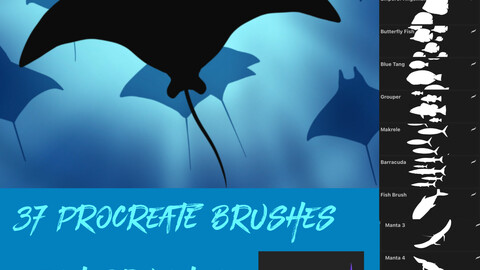 37 Fish Brushes for Procreate