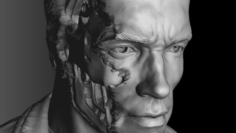 TERMINATOR.T-800.ARNOLD, SHWARZENEGGER