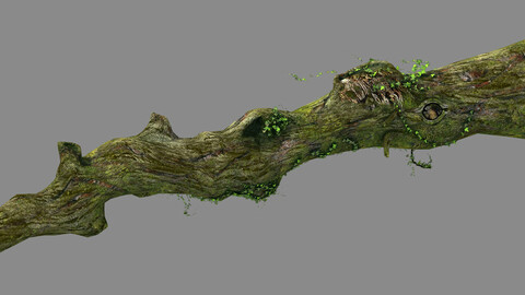 Elven mountains - green algae - dead trees 01