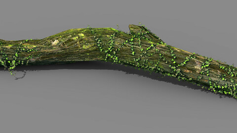 Elven mountains - green algae - dead trees 02