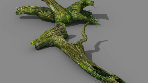 Elven mountains - green algae - dead trees 03