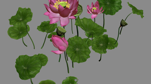 Elves Villa - lotus 05