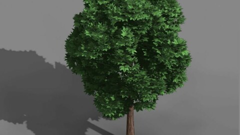 Elven Villa - Broadleaf 03