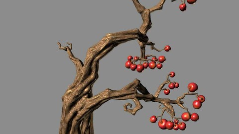 Empty Mulberry - Tree 01