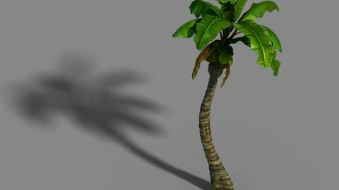 Empty Mulberry - coconut tree crook 01