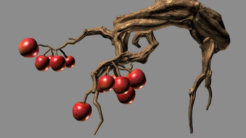 Empty Mulberry - small tree 01