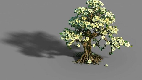 Lanruo Temple - Plants - White Tree 01