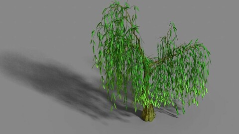 Liuli Island - willow 01