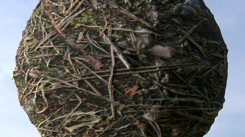 Dry Grass 4 PBR Material