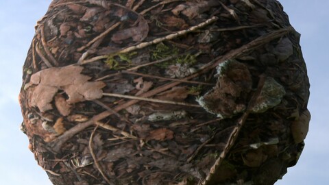 Forest Ground 1 PBR Material