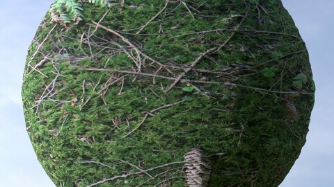 Forest Ground 3 PBR Material