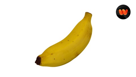 Banana Musaceae - Extreme Definition 3D Scanned