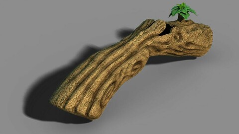 South Qilian - inverted wood