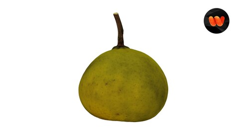Bergamot Orange - Extreme Definition 3D Scanned Model